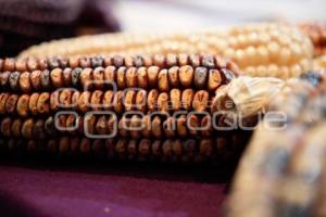 TLAXCALA . FESTIVAL DEL MAÍZ