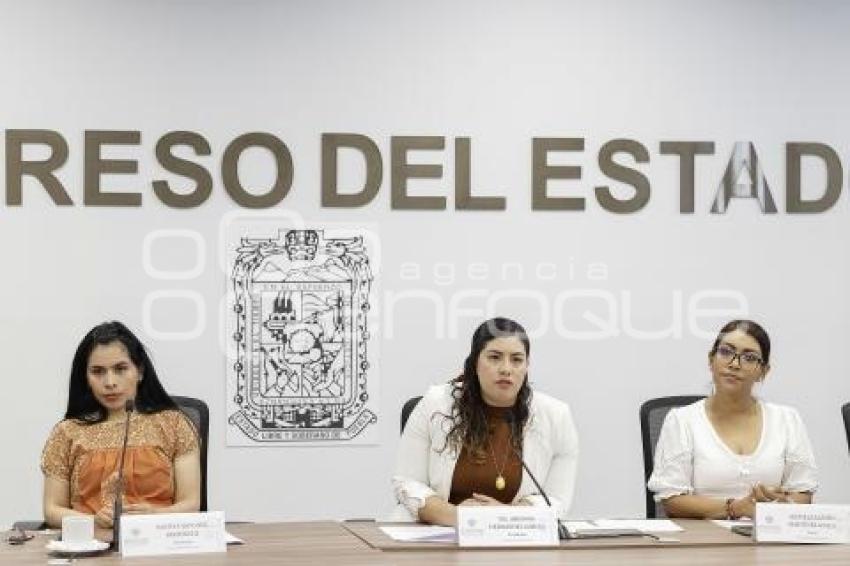 CONGRESO . COMISIÓN IGUALDAD DE GÉNERO