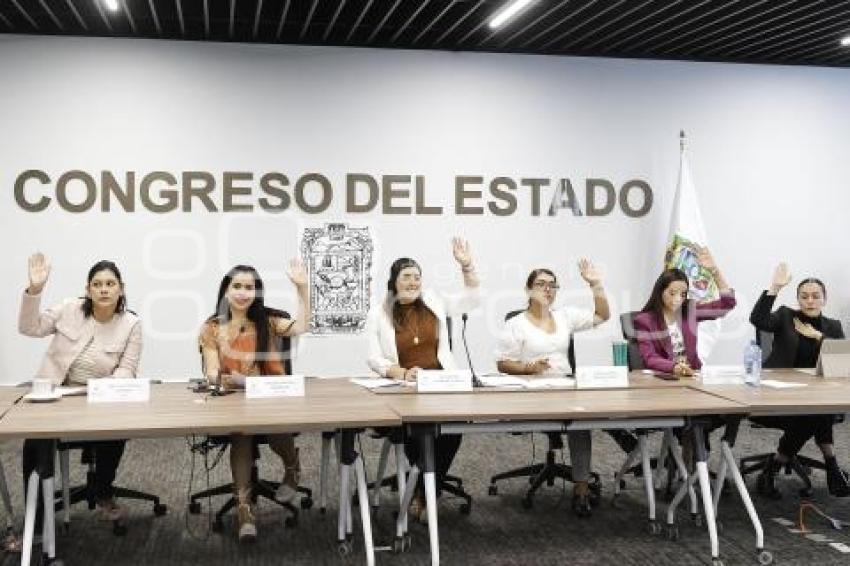 CONGRESO . COMISIÓN IGUALDAD DE GÉNERO