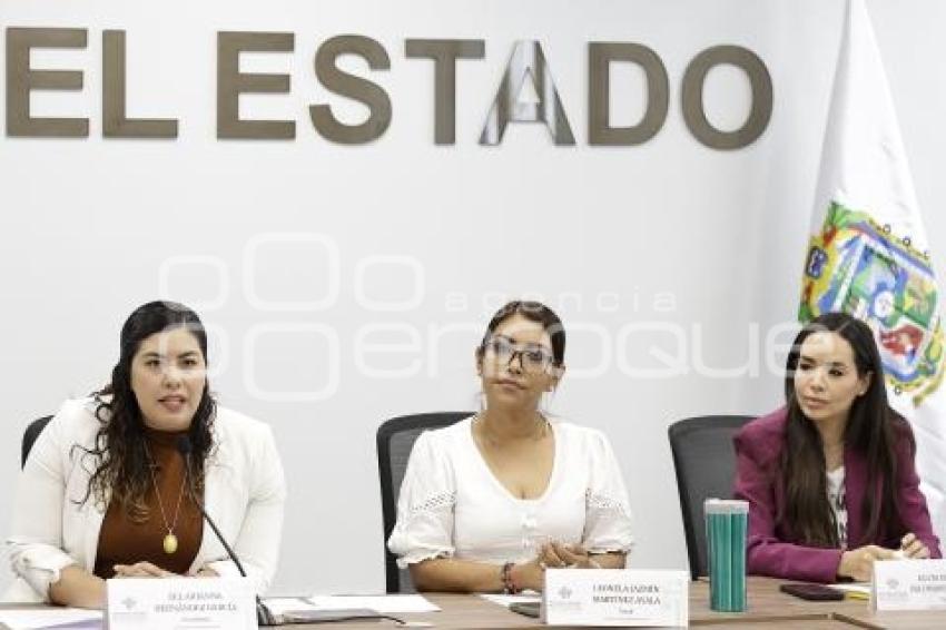 CONGRESO . COMISIÓN IGUALDAD DE GÉNERO