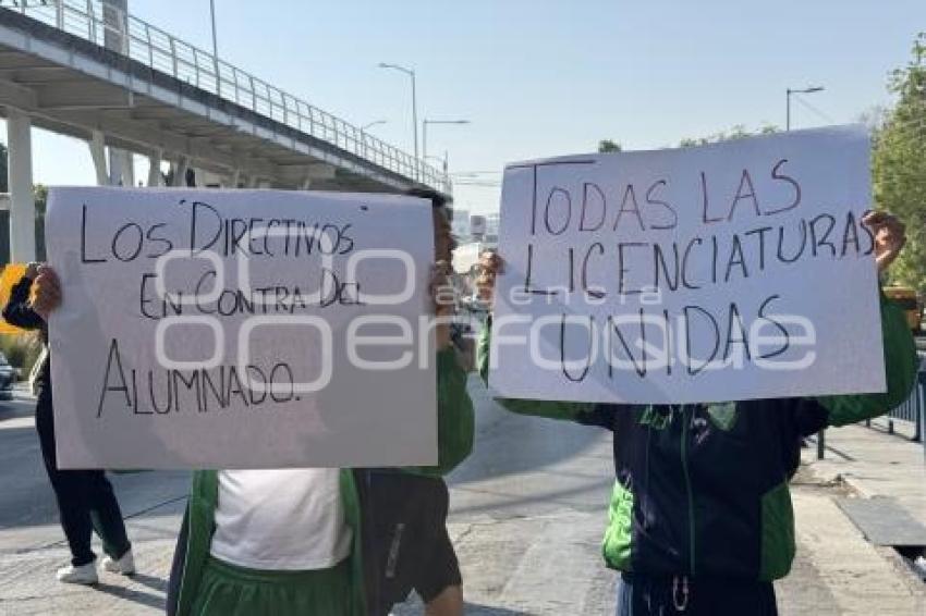 MANIFESTACIÓN BINE