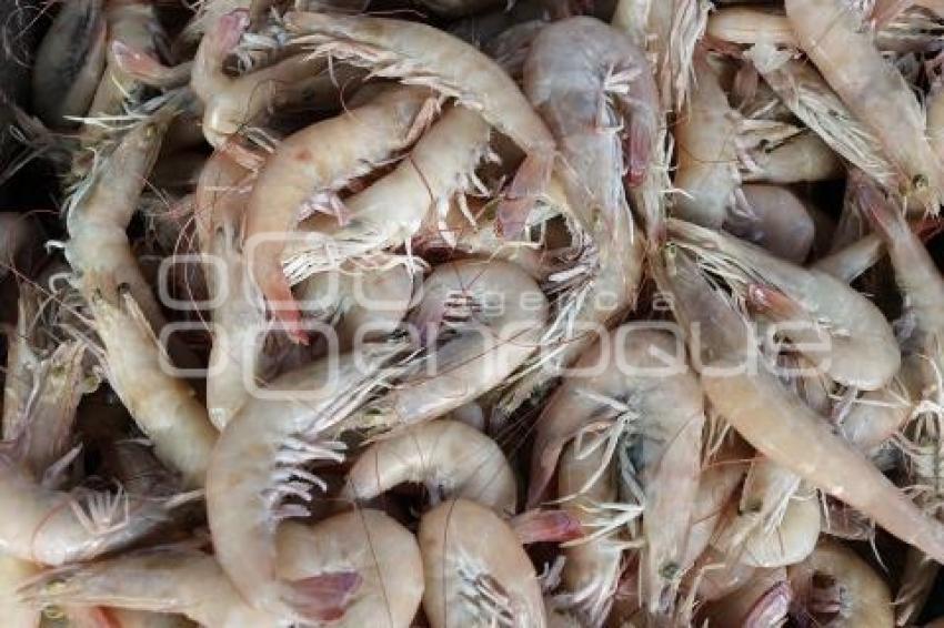 PESCADOS Y MARISCOS