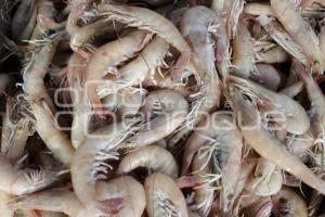 PESCADOS Y MARISCOS