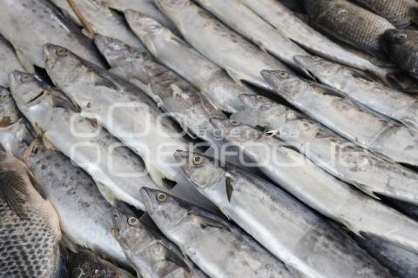 PESCADOS Y MARISCOS