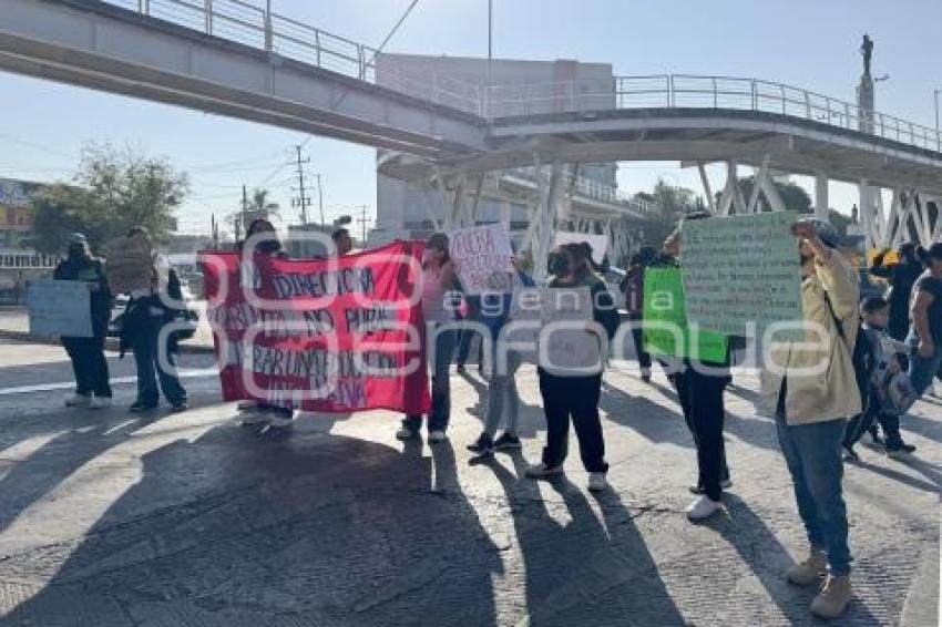 MANIFESTACIÓN BINE