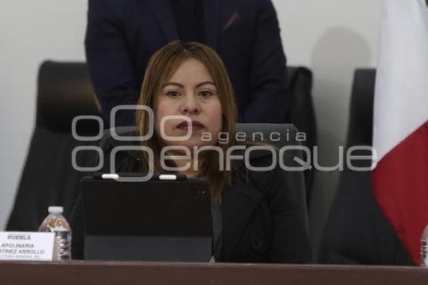 GOBIERNO ESTATAL . APOLINARIA MARTINEZ