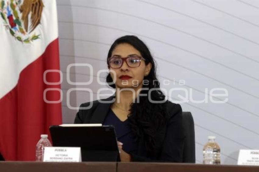 GOBIERNO ESTATAL . VICTORIA SERRANO