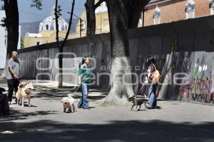 TLAXCALA . VALLAS
