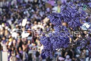 8M . MEGA MARCHA