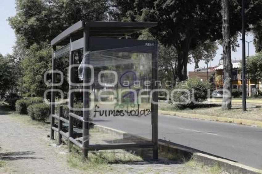 8M . PINTAS