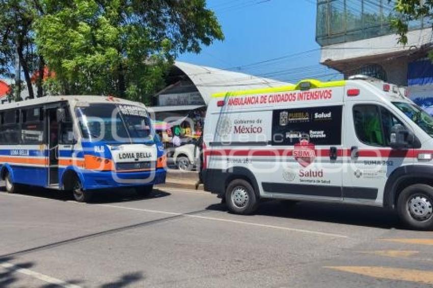 ATROPELLADA . TRANSPORTE PÚBLICO