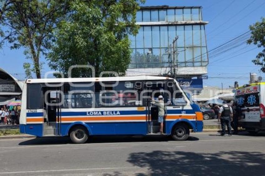 ATROPELLADA . TRANSPORTE PÚBLICO