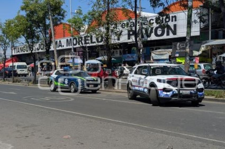 ATROPELLADA . TRANSPORTE PÚBLICO
