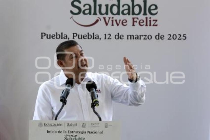 ALEJANDRO ARMENTA