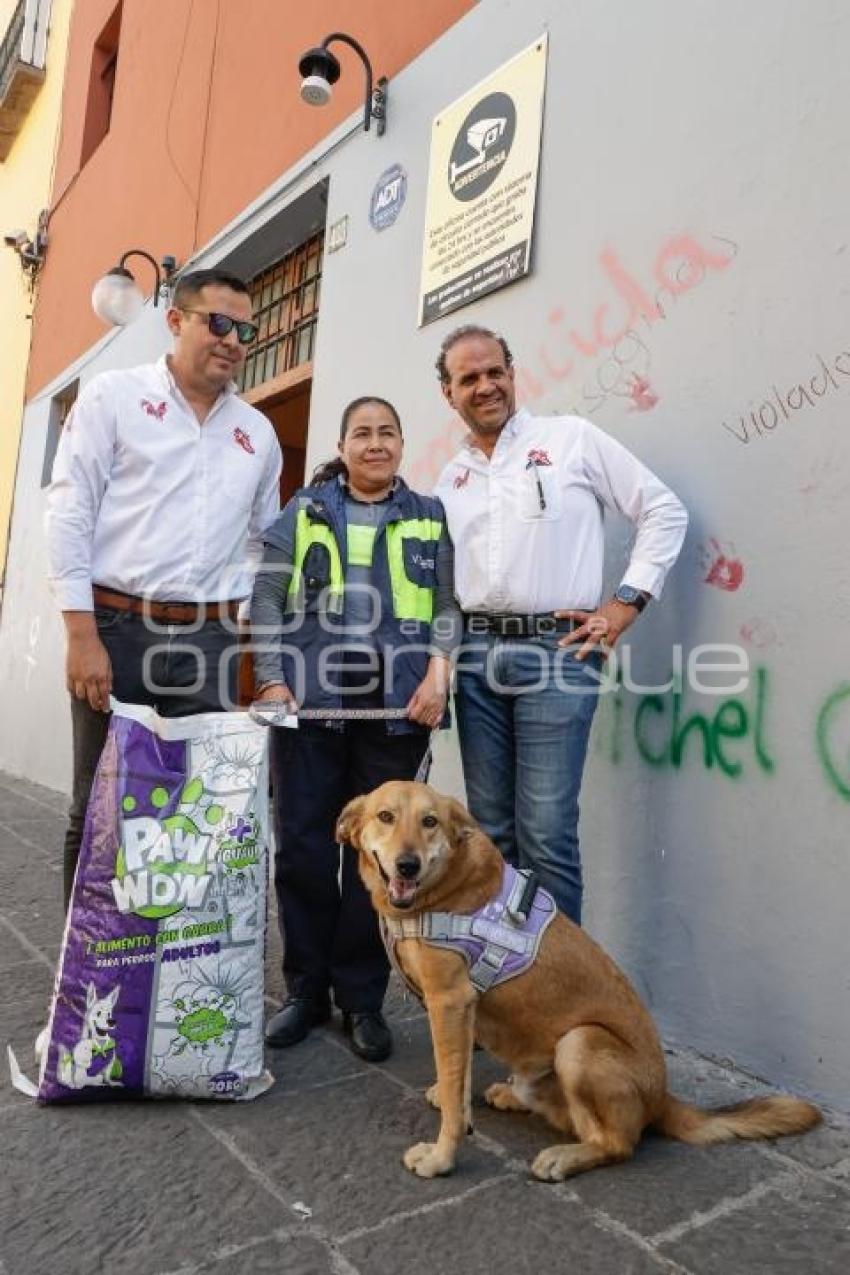 BUAP . PERRO CAROLINO