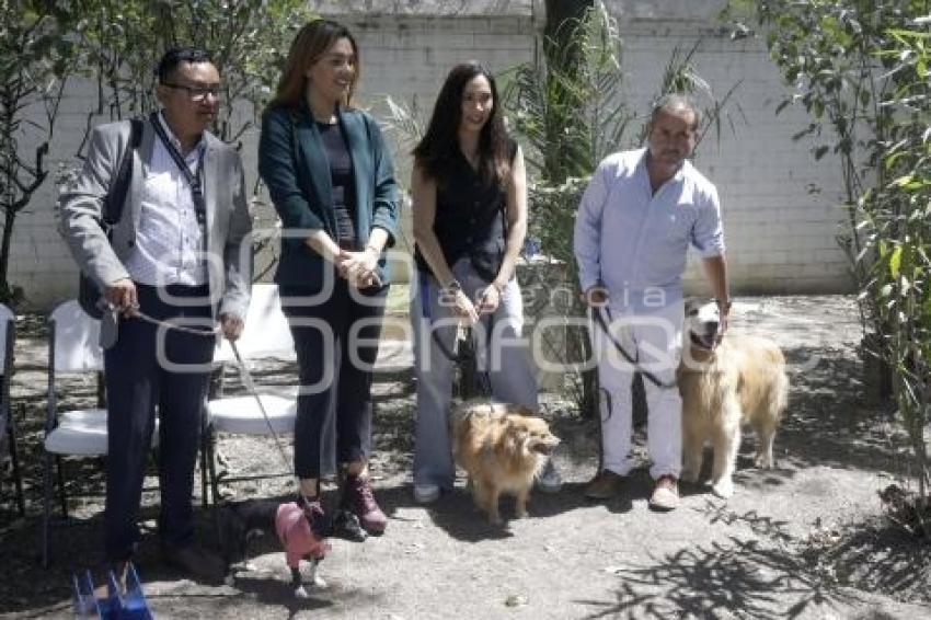 ESPACIO PET FRIENDLY