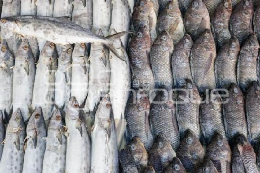 PESCADOS Y MARISCOS