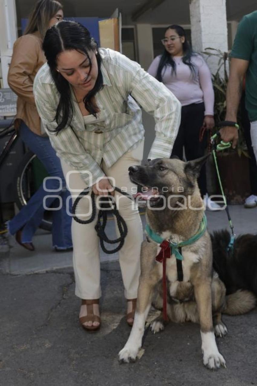 ESPACIO PET FRIENDLY
