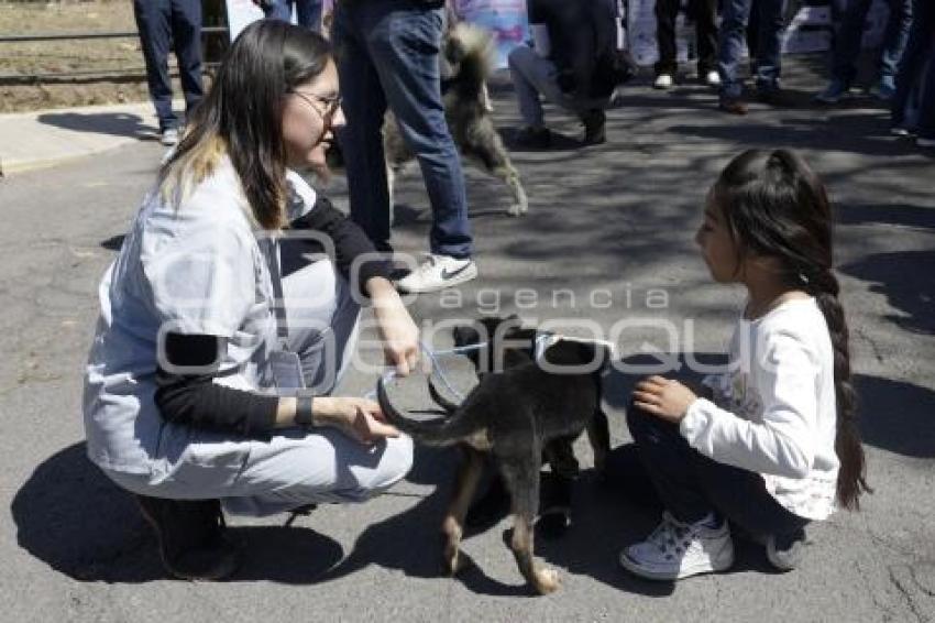 ESPACIO PET FRIENDLY