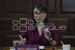 GEORGINA RUIZ TOLEDO