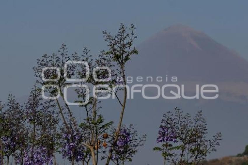 VOLCÁN POPOCATÉPETL