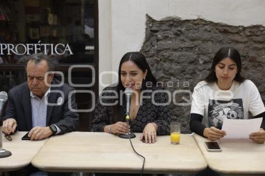 PASO PEATONAL . ACTIVISTAS