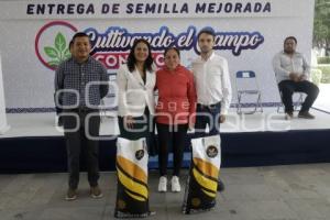 SAN ANDRÉS CHOLULA . ENTREGA DE SEMILLA