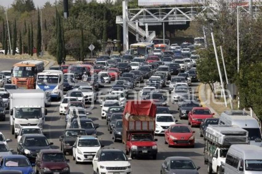 MANIFESTACIÓN TRANSPORTE IRREGULAR . TRÁFICO