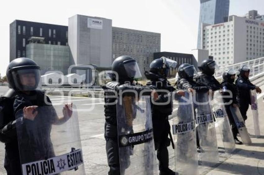 MANIFESTACIÓN TRANSPORTE IRREGULAR