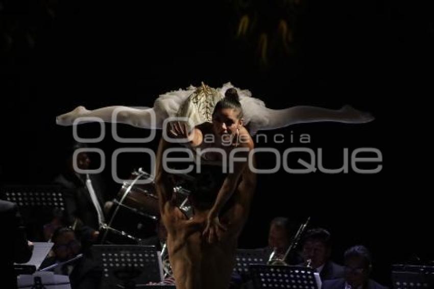IMACP . CONCIERTARTE
