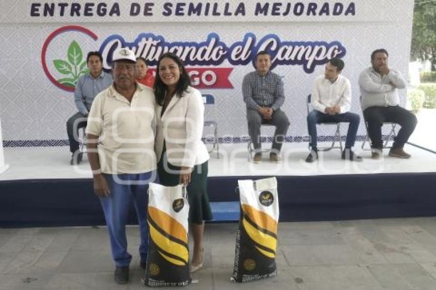 SAN ANDRÉS CHOLULA . ENTREGA DE SEMILLA