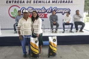 SAN ANDRÉS CHOLULA . ENTREGA DE SEMILLA