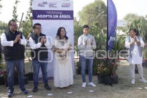 SAN ANDRÉS CHOLULA . ADOPTA UN ÁRBOL