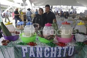 SAN ANDRES CHOLULA . FERIA DEL PULQUE