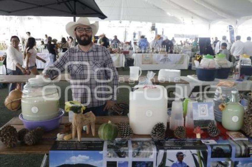 SAN ANDRES CHOLULA . FERIA DEL PULQUE