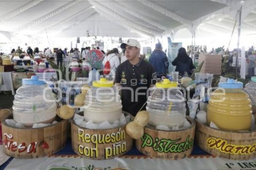 SAN ANDRES CHOLULA . FERIA DEL PULQUE