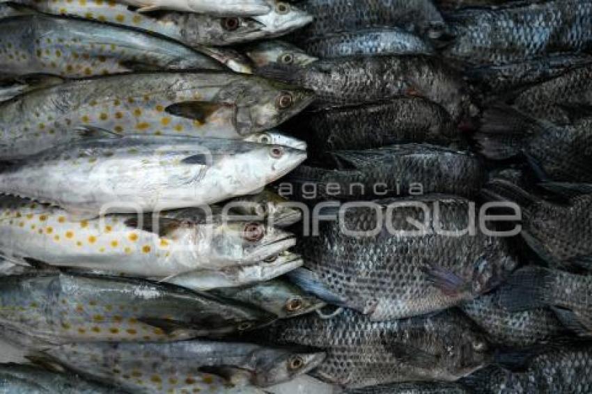 TLAXCALA . PESCADERÍAS
