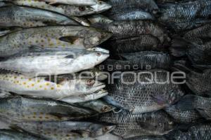 TLAXCALA . PESCADERÍAS