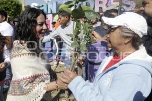 SAN ANDRÉS CHOLULA . ADOPTA UN ÁRBOL
