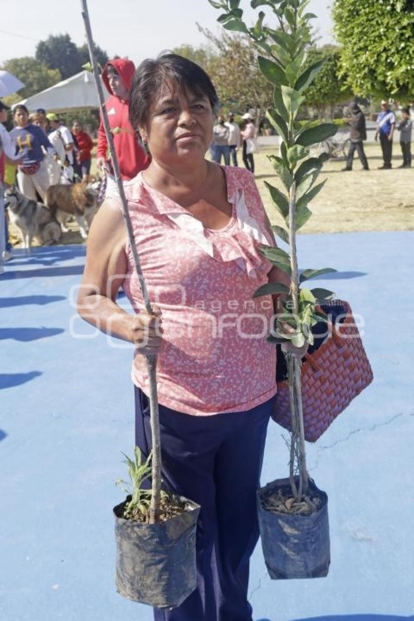 SAN ANDRÉS CHOLULA . ADOPTA UN ÁRBOL