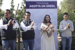 SAN ANDRÉS CHOLULA . ADOPTA UN ÁRBOL
