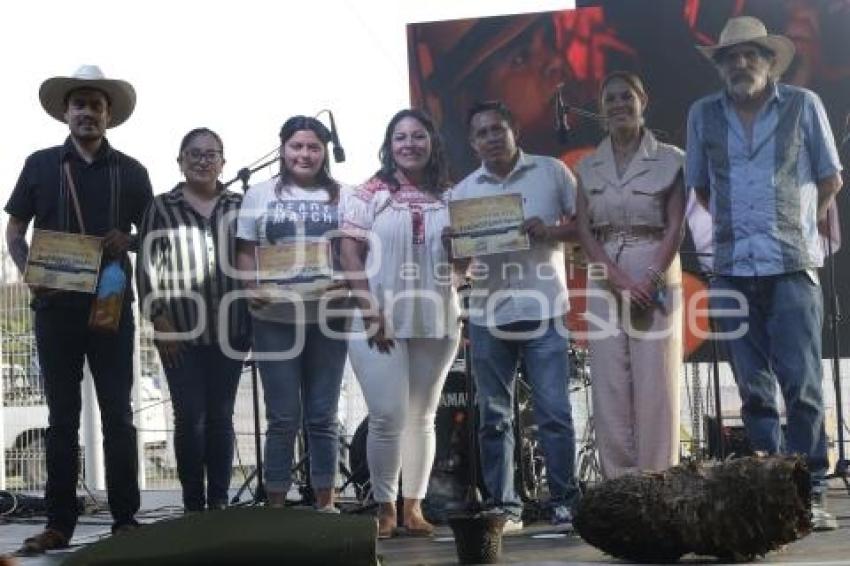 SAN ANDRÉS CHOLULA . FESTIVAL DEL PULQUE