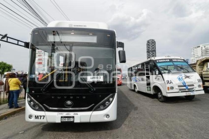 ANGELÓPOLIS . TRANSPORTE
