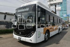 ANGELÓPOLIS . TRANSPORTE