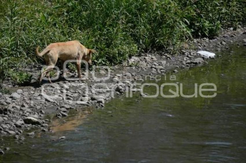 TLAXCALA . RÍO ZAHUAPAN