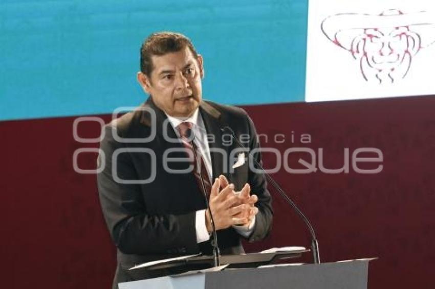 ALEJANDRO ARMENTA