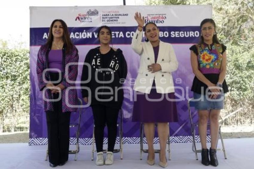 SAN ANDRÉS CHOLULA . APROPIACIÓN VIOLETA