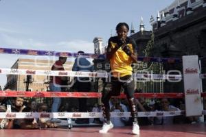 BOX . ENTRENAMIENTO