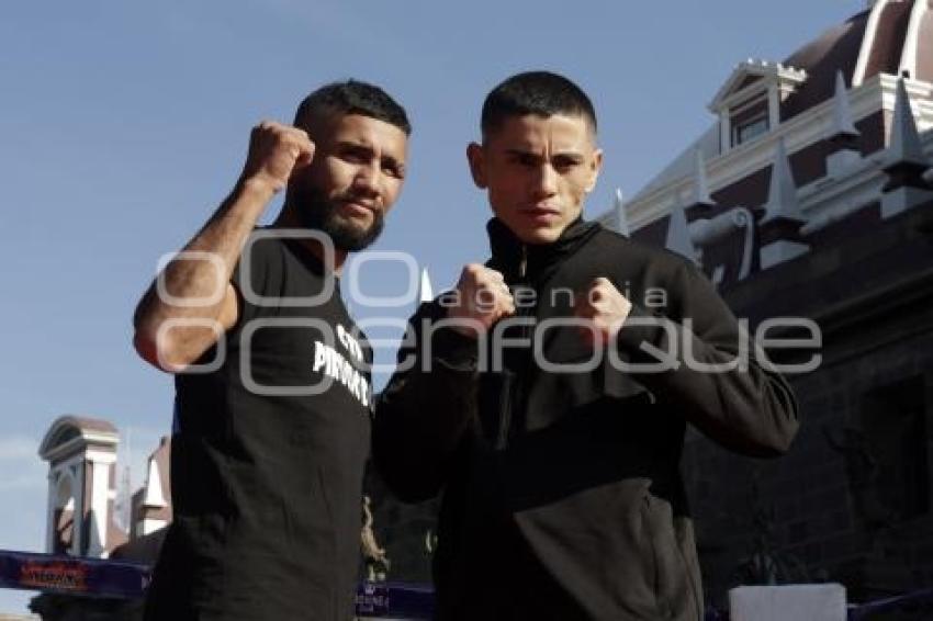 BOX . ENTRENAMIENTO