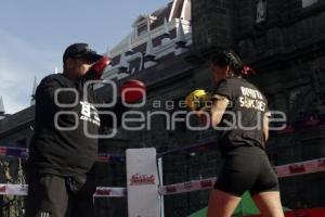 BOX . ENTRENAMIENTO